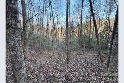 70 Earls Road, Bryson City, NC 28713 - Photo 15