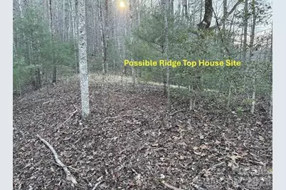 70 Earls Road, Bryson City, NC 28713 - Photo 5