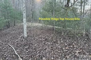 70 Earls Rd, Bryson City, NC 28713 - Photo 5