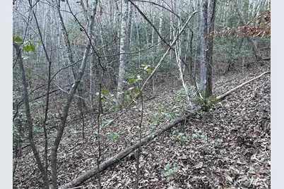 70 Earls Road, Bryson City, NC 28713 - Photo 13