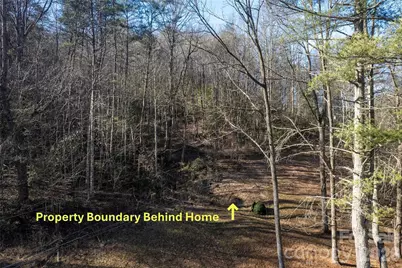 70 Earls Road, Bryson City, NC 28713 - Photo 9