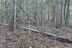 70 Earls Rd, Bryson City, NC 28713 - Photo 13