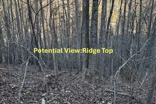 70 Earls Rd, Bryson City, NC 28713 - Photo 15