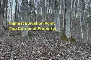 70 Earls Rd, Bryson City, NC 28713 - Photo 17