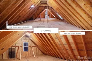 18380 Nantz Rd, Cornelius, NC 28031 - Photo 47