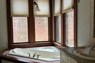 373 Shumont Rd, Black Mountain, NC 28711 - Photo 19