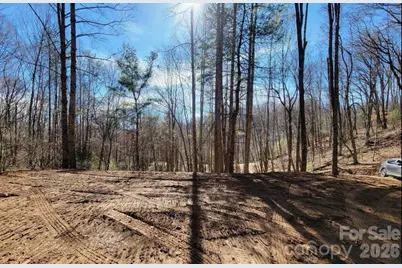 2166 Cove Creek Road, Waynesville, NC 28785 - Photo 9