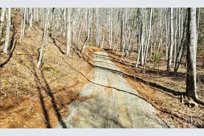 2166 Cove Creek Road, Waynesville, NC 28785 - Photo 15