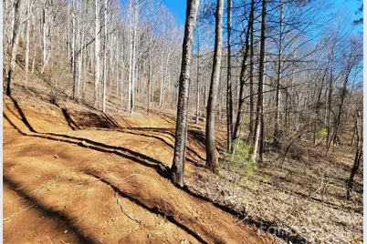 2166 Cove Creek Road, Waynesville, NC 28785 - Photo 5