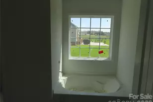 161 Mason Tanner Ct, Rock Hill, SC 29730 - Photo 19