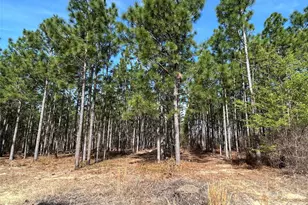 1266 Scott Rd, Kershaw, SC 29067 - Photo 3