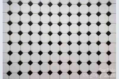 193 Hanks Bluff Drive, Mooresville, NC 28117 - Photo 9