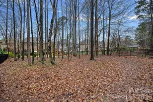 1104 Anniston Pl, Wesley Chapel, NC 28079 - Photo 43