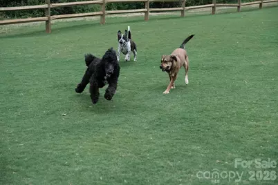 141 Greenridge Road, Clover, SC 29710 - Photo 31