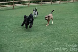 141 Greenridge Rd, Clover, SC 29710 - Photo 31