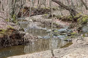 3465 Hwy 92 None, Enoree, SC 29335 - Photo 9