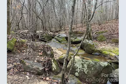 3465 Highway 92 None, Enoree, SC 29335 - Photo 7