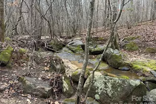 3465 Hwy 92 None, Enoree, SC 29335 - Photo 7