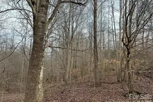 3465 Hwy 92 None, Enoree, SC 29335 - Photo 5