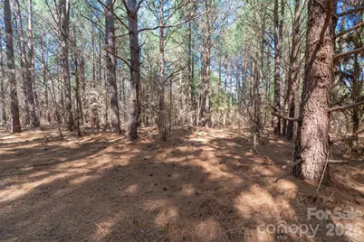 00 Cemetery Road #4, Fort Lawn, SC 29714 - Photo 15