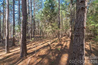 00 Cemetery Road #4, Fort Lawn, SC 29714 - Photo 23