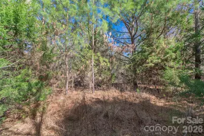 00 Cemetery Road #4, Fort Lawn, SC 29714 - Photo 11