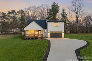 75 Scott Mdws Dr, Asheville, NC 28806 - Photo 1