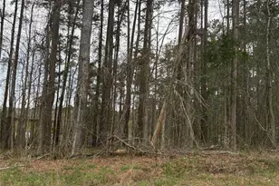 #0 Old Lilesville Rd, Wadesboro, NC 28170 - Photo 1