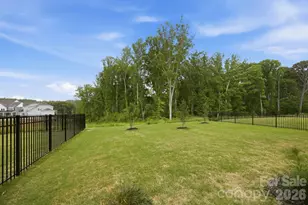 115 Reids Cv Dr, Mooresville, NC 28117 - Photo 35