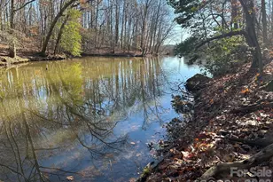 Lot 79 Tealwood Ct, Norwood, NC 28128 - Photo 1