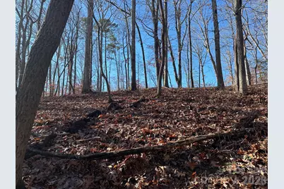 Lot 79 Tealwood Court #79, Norwood, NC 28128 - Photo 3