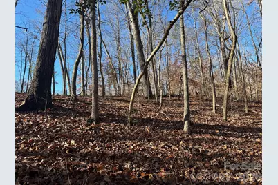 Lot 79 Tealwood Court #79, Norwood, NC 28128 - Photo 5