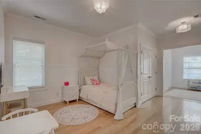 13203 Coyote Creek Court, Charlotte, NC 28278 - Photo 33