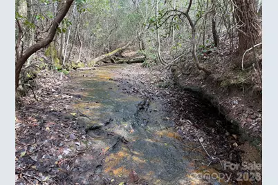 2524 Curt Ledford Road, Lawndale, NC 28090 - Photo 25