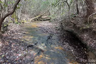 2524 Curt Ledford Rd, Lawndale, NC 28090 - Photo 25