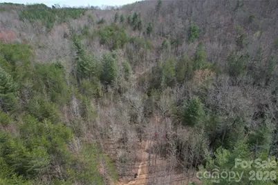 2524 Curt Ledford Road, Lawndale, NC 28090 - Photo 37