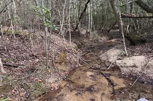 2524 Curt Ledford Rd, Lawndale, NC 28090 - Photo 23