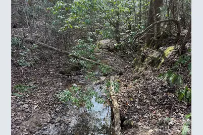 2524 Curt Ledford Road, Lawndale, NC 28090 - Photo 19