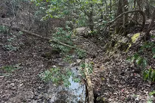 2524 Curt Ledford Rd, Lawndale, NC 28090 - Photo 19