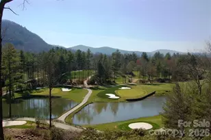 40 Blackberry Trail, Sapphire, NC 28774 - Photo 43