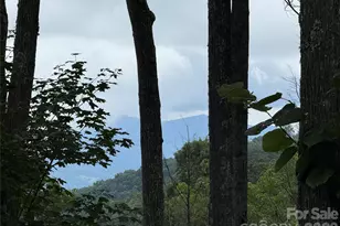 528 Andrew Banks Rd, Burnsville, NC 28714 - Photo 27