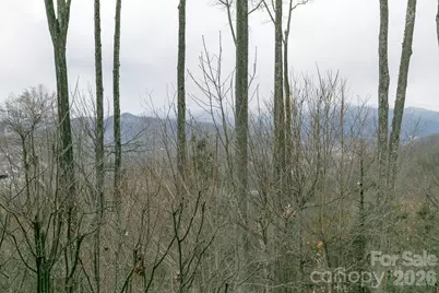 528 Andrew Banks Road #A/3, Burnsville, NC 28714 - Photo 17