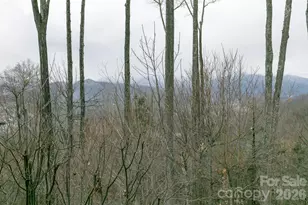 528 Andrew Banks Rd, Burnsville, NC 28714 - Photo 17