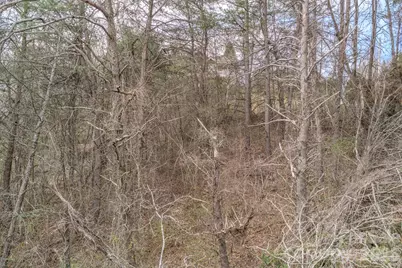 25 Sage Drive, Weaverville, NC 28787 - Photo 29