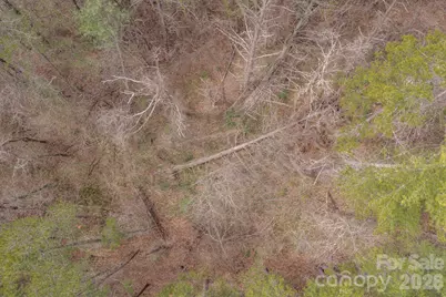29 Sage Drive, Weaverville, NC 28787 - Photo 29