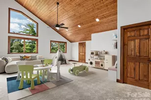 248 Wisdom Cove Rd, Flat Rock, NC 28731 - Photo 23