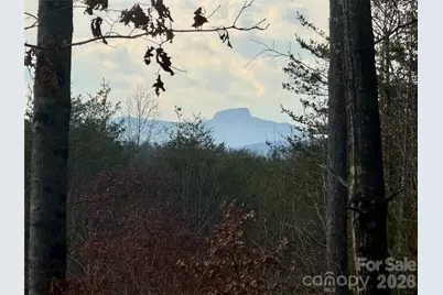 913 High Valley Way #913, Lenoir, NC 28645 - Photo 1