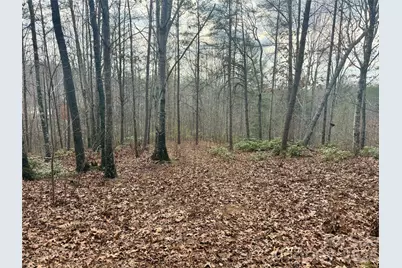 913 High Valley Way #913, Lenoir, NC 28645 - Photo 5