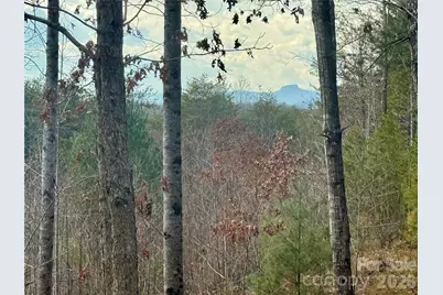 913 High Valley Way #913, Lenoir, NC 28645 - Photo 7