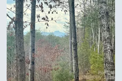 913 High Valley Way #913, Lenoir, NC 28645 - Photo 13